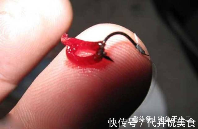 饵料|冬钓鲫鱼,牢记5个字,渔获猛增,老钓友都觉得666