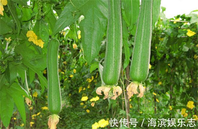 蔬菜|女性抗衰先排毒，多吃3种蔬菜，皱纹没了，色斑淡了，拿肉也不换