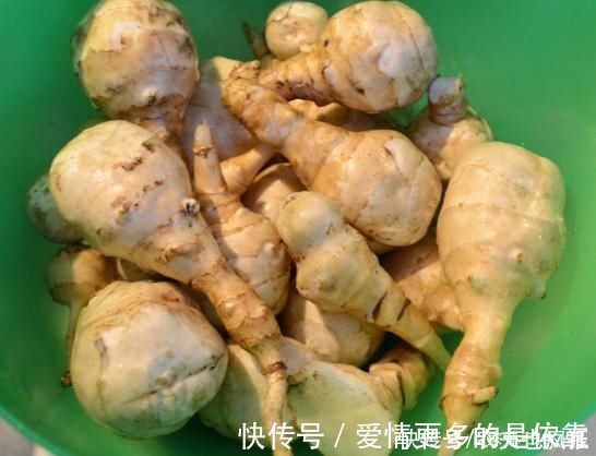 姜不辣|本是入侵物种,却成了“救荒粮”,种1次管10年,现在被嫌弃