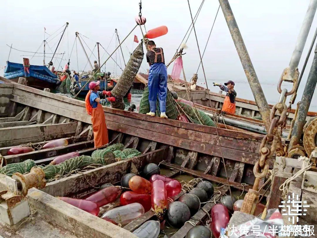 海洋|海洋防灾，大连提醒