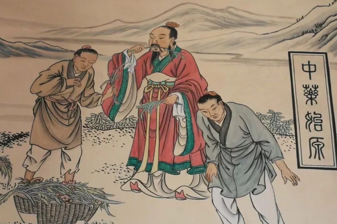 证明|炎帝的根在哪里?考古学家:水稻和古城的发现,证明或是发源于此