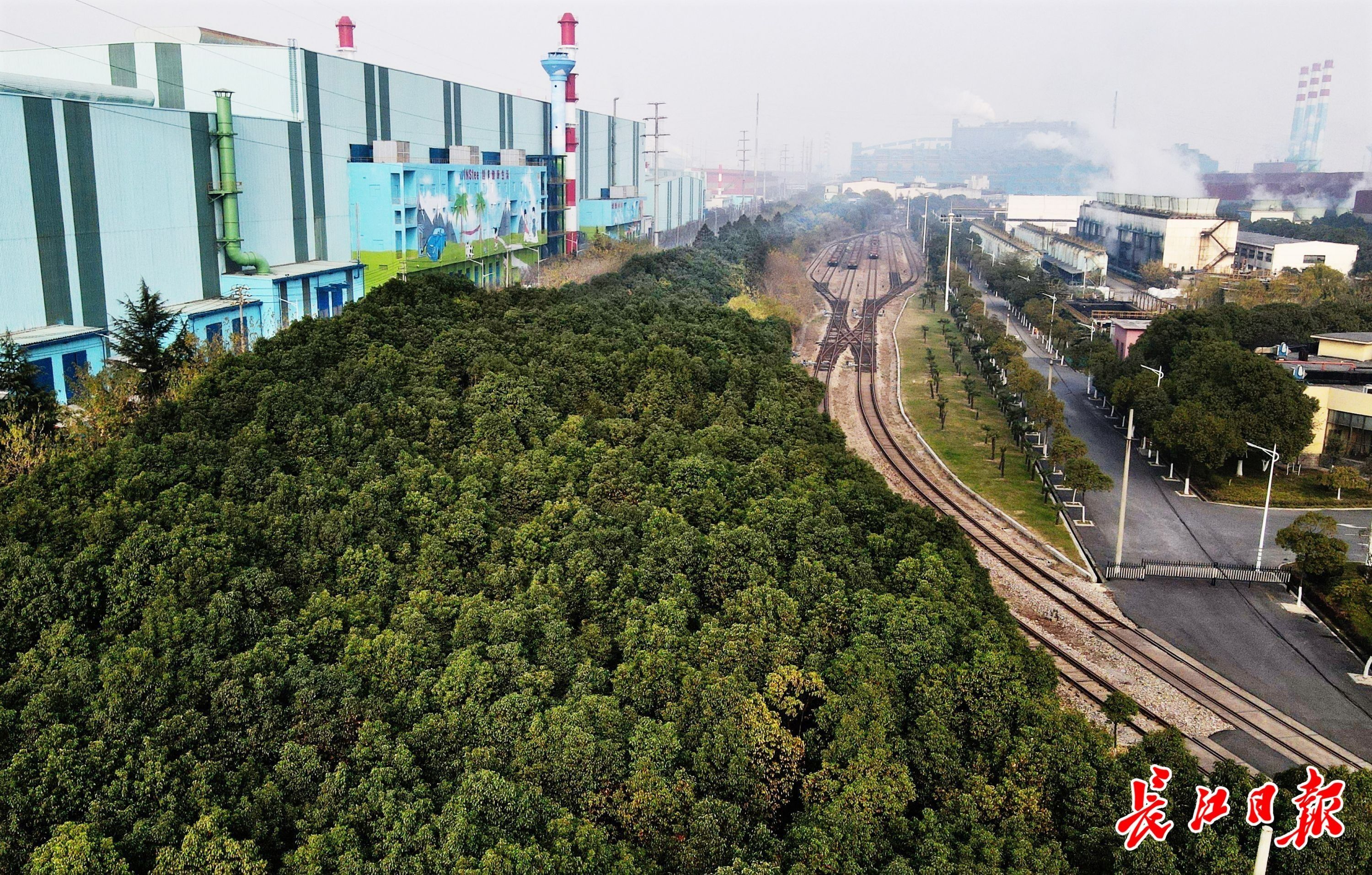钢厂|中南大旅游研究院院长邓爱民：武钢要打造成具有时代特色的生态森林钢厂