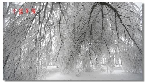 铅山|铅山葛仙山白雪皑皑，犹如冰雪童话世界