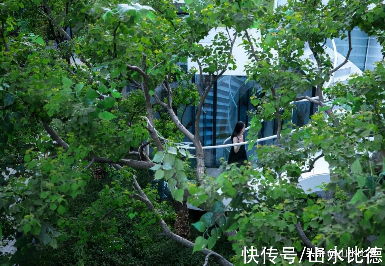 婺江|山水比德新作｜金华中海九樾