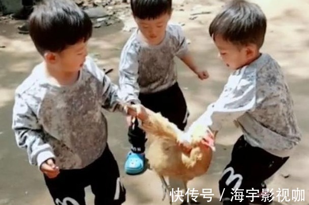 爷爷奶奶|妈妈回家发现三胞胎正合谋杀鸡,妈妈乐坏了,爷爷气坏了