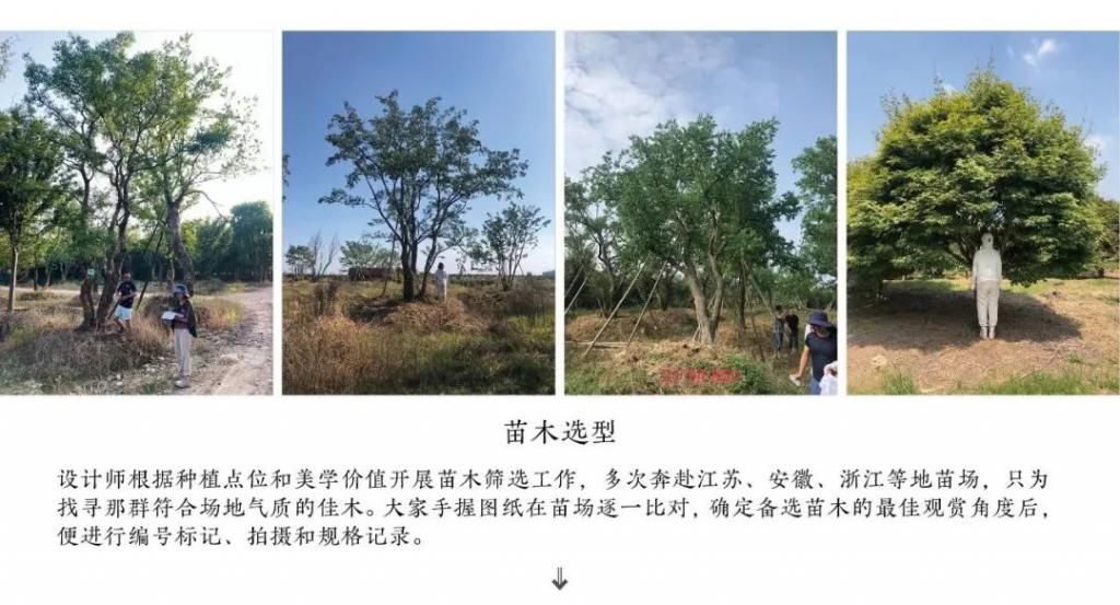  半围合|星环浮动，雁归云境