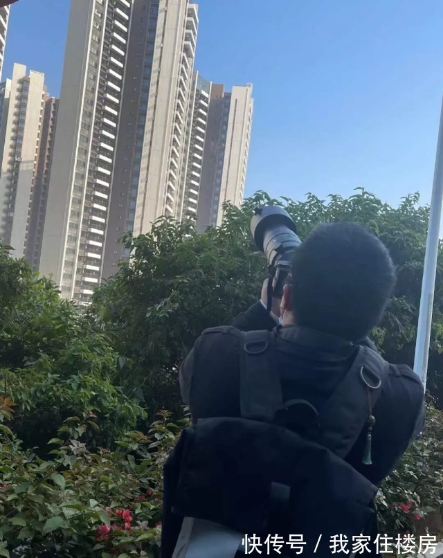 每日经济新闻|深圳开发商有多牛?直接击落取证无人机,相关部门负责人才走不久!