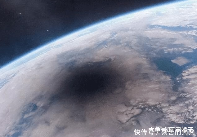 电子显微镜 22张“活久见”的照片,令人大开眼界!