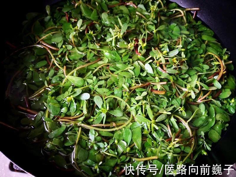 急性肾损伤|浙江6人吃了它后肾坏掉！这种＂长寿菜＂味鲜美，很多人爱吃...扩散