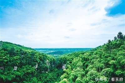 行走在邛崃的川西竹海