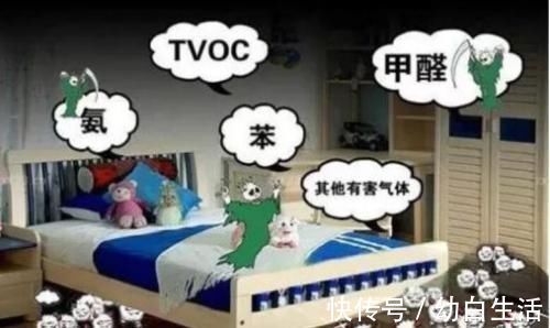 甲醛|除甲醛居然可以如此简单,难怪内行人都在用