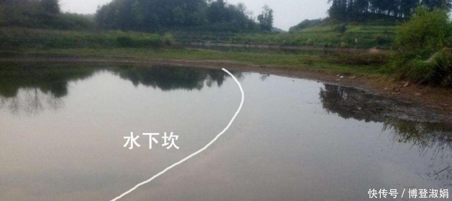 冬季|冬季阴天,鱼都藏三个“特殊”位置,只有老手才懂