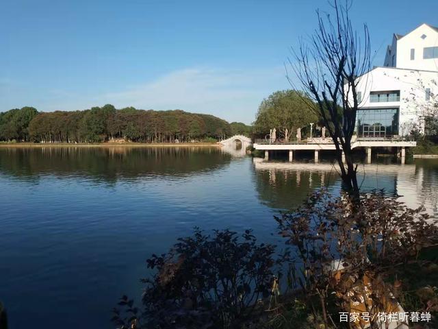 《七绝.初冬印象》霜染苍茫已入冬，枝条飞叶落无穷