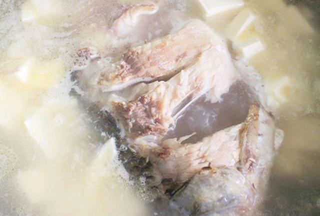 不管炖什么鱼，两种调料不能放，不然鱼又腥又难吃，好多人都做错