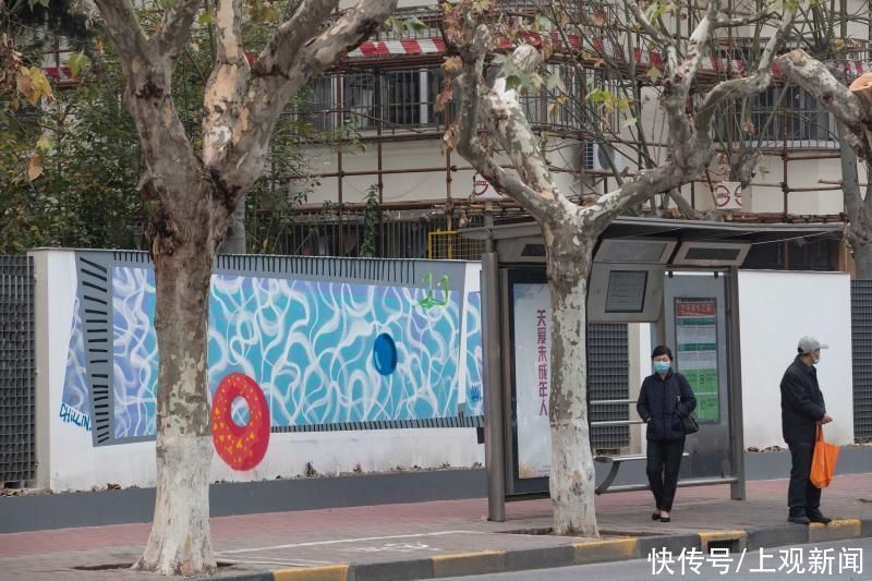 包围|30余幅彩绘绵延600多米,上海徐汇一老小区被涂鸦“包围”……