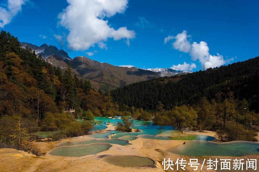 大熊猫|探访黄龙景区：万物皆有灵“人间瑶池”里藏着生物多样性之美