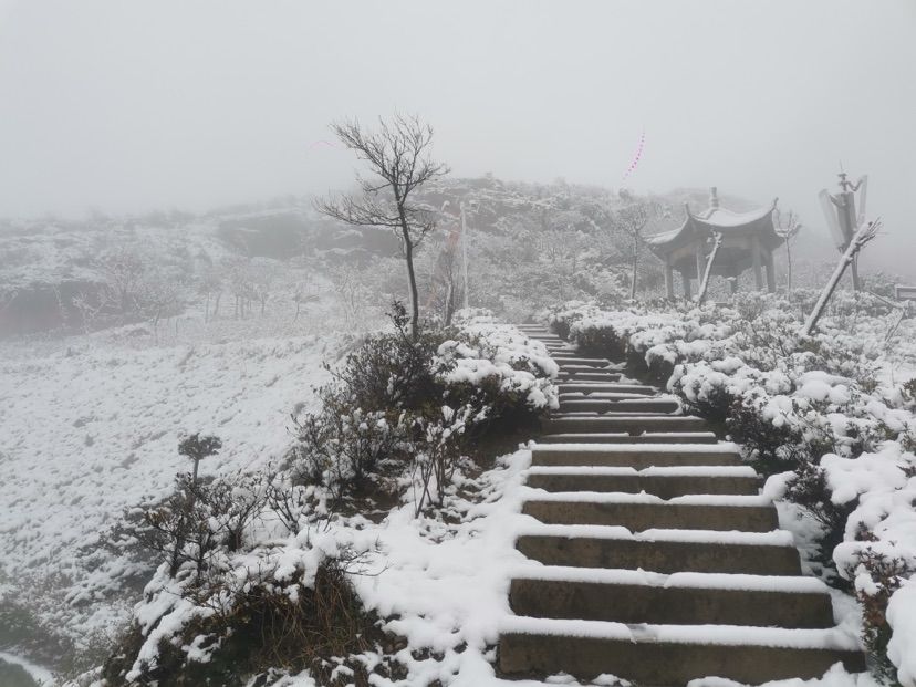 赏雪|山上下雪山下降雨 金峨山赏雪正当时