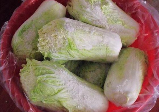 秘诀|奶奶腌制酸菜的“秘诀”,多加1步,更酸爽可口