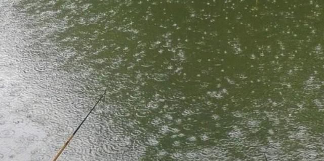 浑水也能钓鱼,老司机漫谈夏季浑水钓鱼技巧