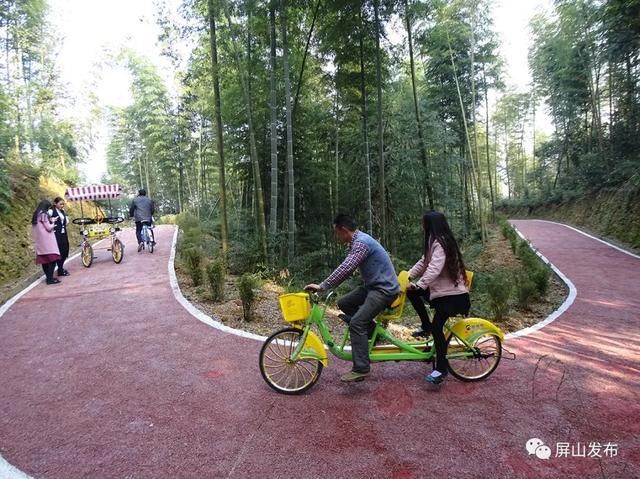 工作组|「荐好书」《温暖的回响--屏山县脱贫攻坚故事汇》:驻村工作人员倾情讲述扶贫故事