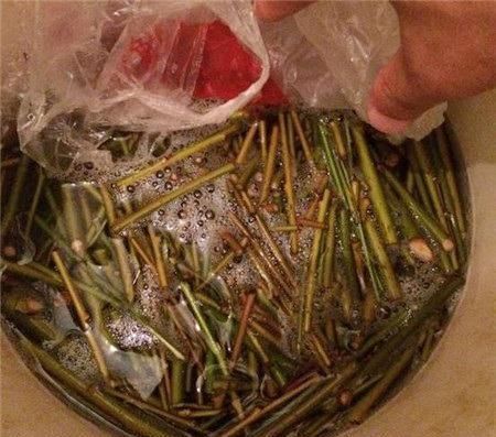 用“土方法”制作的花肥,才是养花“万能肥”,养啥旺啥