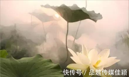 楞严经|《华严经》中的六句经典, 让我们感受“经中之王”的魅力!
