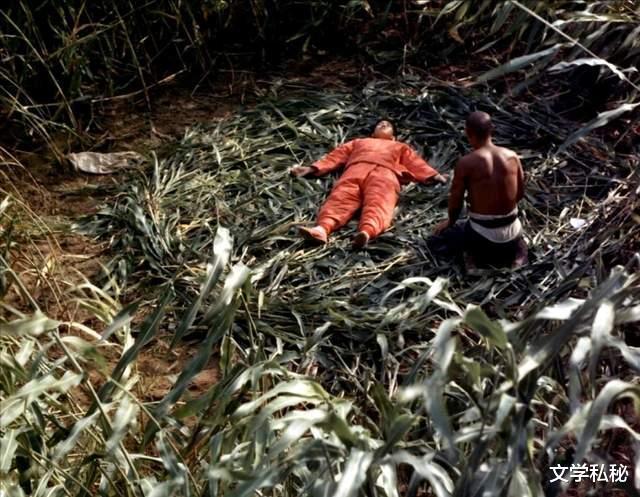 莫言小说|曾经是“莫言”的忠实粉丝,当年为寻找莫言作品而四处搜罗