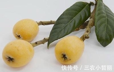 强身健体|枇杷的功效与作用, 吃枇杷的禁忌