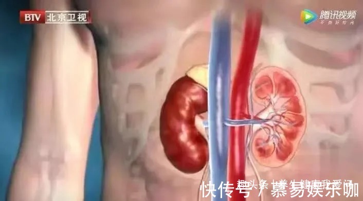 酸枣仁|凌晨1-3点容易醒?是身体2个地方堵了!老中医这样吃,安睡到天亮