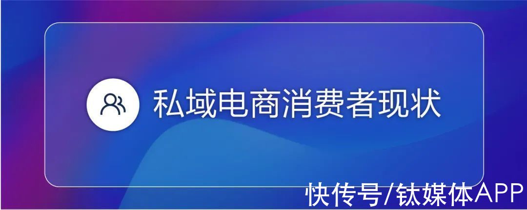 范式转换|《2022私域电商平台趋势报告》发布，私域中能否诞生下一个天猫？