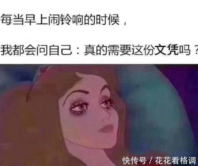 表情包第六期,这知识它不进脑子啊