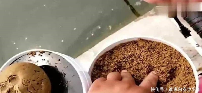 仔细算一下,开饵有6种技巧!