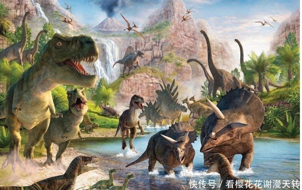 颜文字#五本随身空间流小说,主角意外获得神秘空间,从此走上开挂的人生