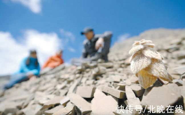 全球气候变暖|是什么让他留在梅里雪山，一留就是十六年？