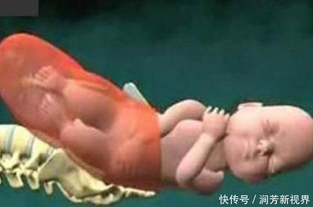 骨盆|顺产分娩时,宝宝咋从产道中爬出来的带你看清全过程,真心不易