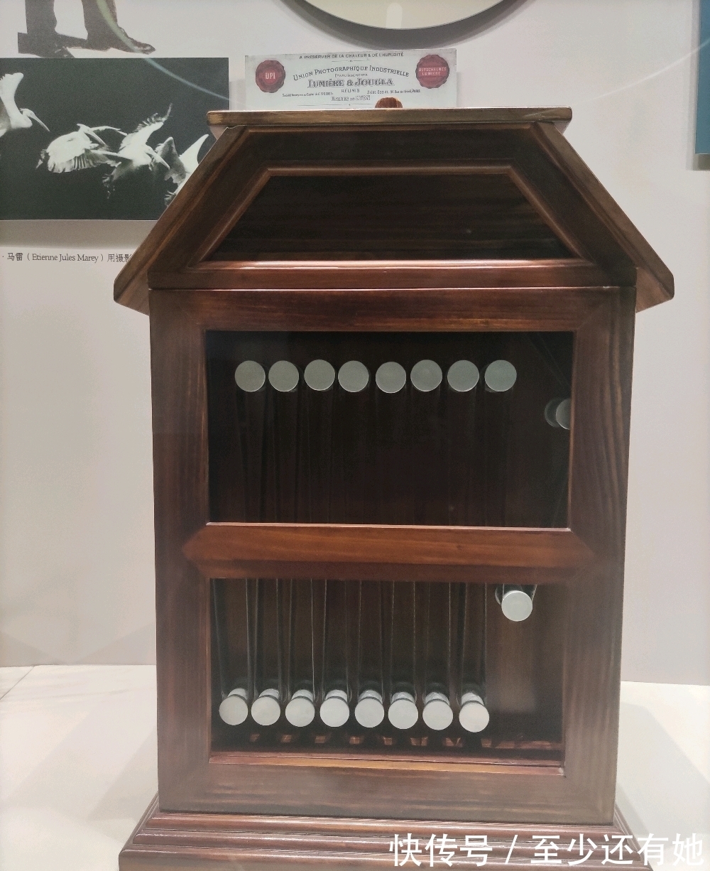 博物馆|中国动漫博物馆之行看看有哪些精彩回顾