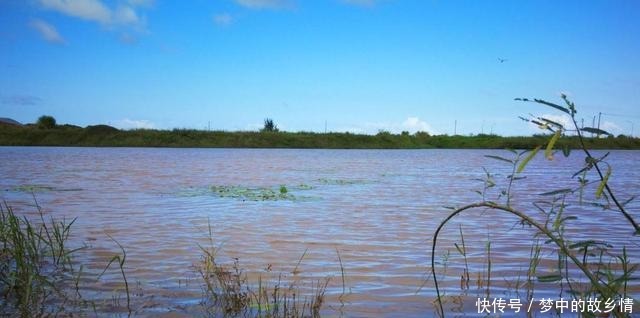 钓鱼|都说“春钓滩”，那么初夏要钓哪明确告诉你，就是这2个地方