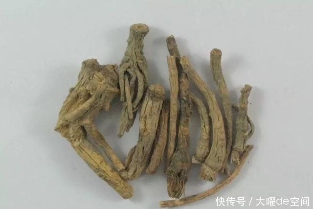 它的止咳功效幾近川貝母，為什么價格卻有天淵之別？