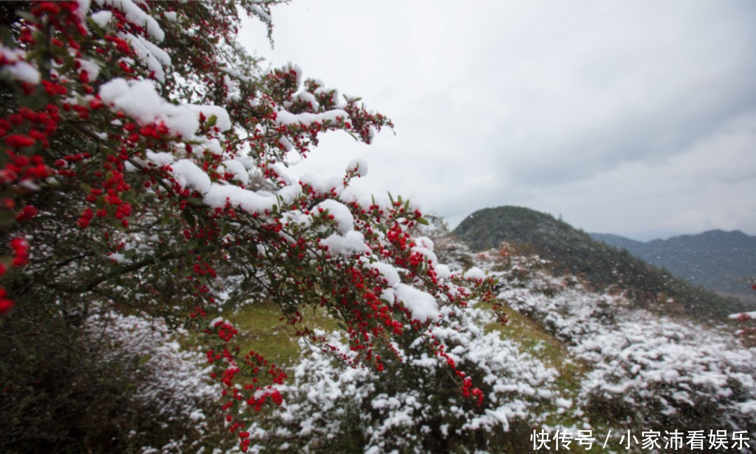 重庆主城|下雪了！雪玉山今冬第一场雪已“到货”，美景刷爆朋友圈！