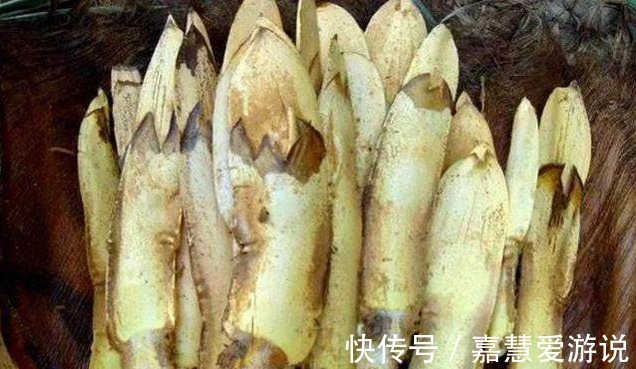 棕包|农村有种山珍，开的花像鱼籽，是降血压良药，20元一斤很难买到