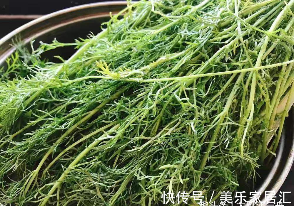 酵母粉|适合伏天吃的3种包子馅，应季食材1元1斤，个个皮薄馅大又解馋