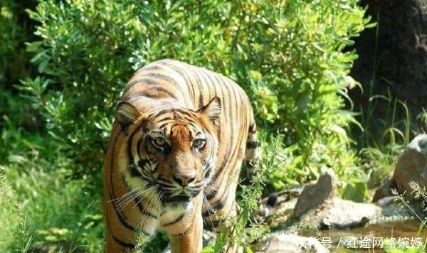 判官|说名字没人认识,说职务天下皆知,这个位置太重要了