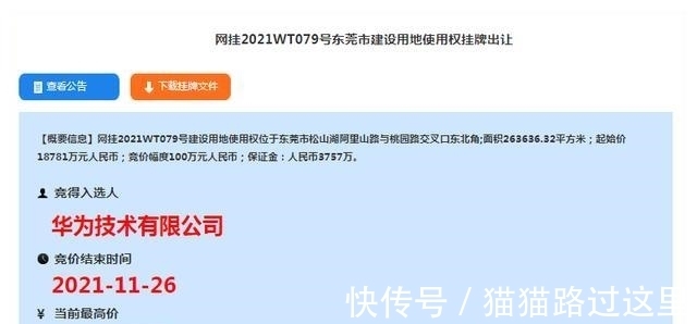 cto|华为放大招!豪掷近百亿“押宝”这一行