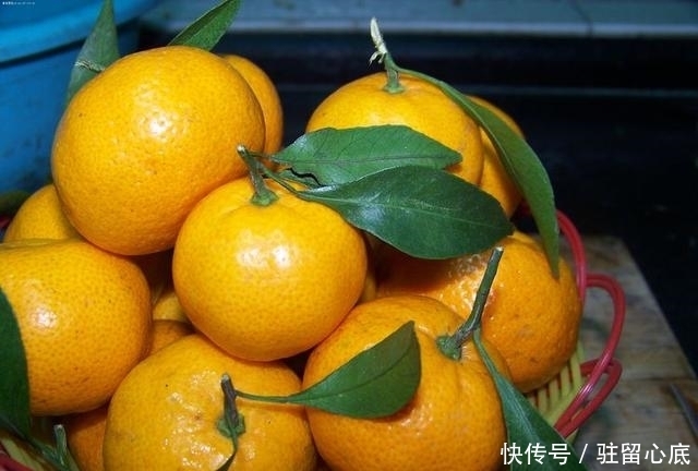 水果|立冬后,此水果之王,每天吃几个,清热解毒、减肥瘦身,早知早好