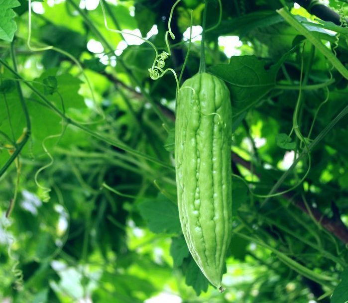 营养|每天可以坚持吃3种食物,营养丰富、滋润肌肤,早吃早好