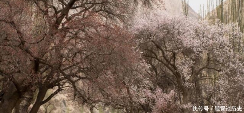 忧愁#李煜水平很高的一首词,通篇都在描写忧愁,可是却没有一个愁字!