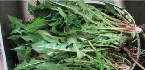 肌肤|人到中年，不妨多吃以下食物，可以滋养肌肤，改善气色，早吃早好