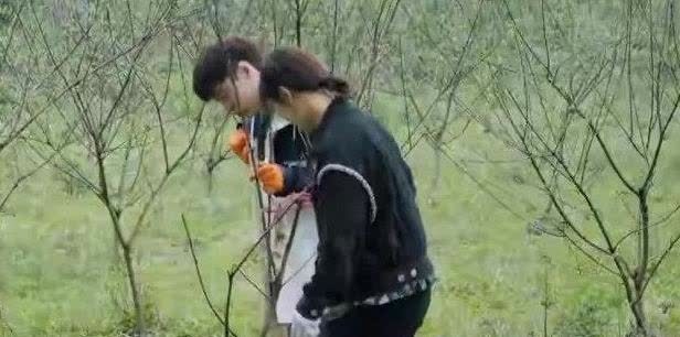 杨紫 你们期待杨紫成为《向往的生活》的常驻嘉宾吗?