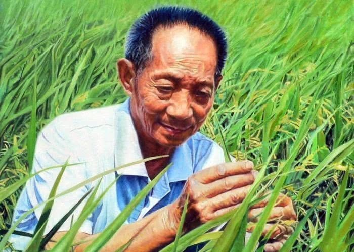 红薯|他是古代“袁隆平”，冒死从国外偷回一根藤，拯救了1亿中国人