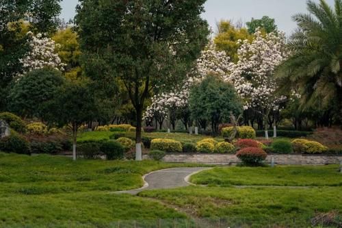 电子科技大学的这个王牌专业太火爆！